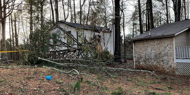 Cobb County Fire and Emergency Services crews said multiple trees fell on houses and roads on Jan. 12, 2023.