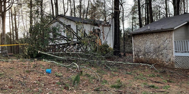 Cobb County Fire and Emergency Services crews said multiple trees fell on houses and roads on Jan. 12, 2023.