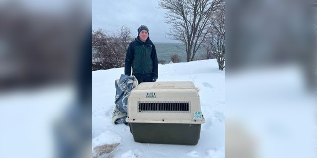 Cape Elizabeth Police and resident helped the gray seal back into the ocean, but the seal kept returning to shore.