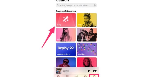Apple Music library