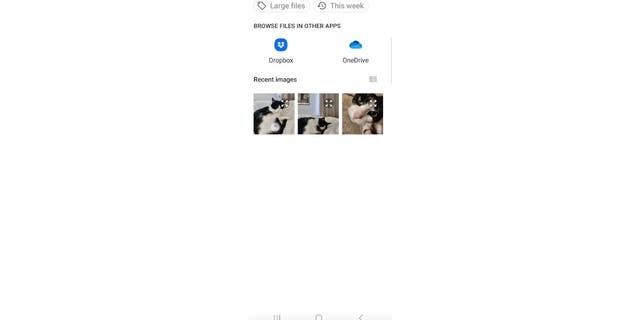 Exif juga memungkinkan Anda mengubah lokasi gambar yang Anda ambil dan menghapus semua tag di dalam foto.