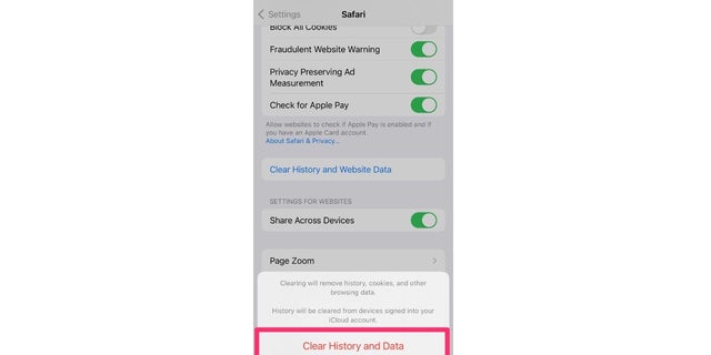 Clear your history and data in iPhone settings.