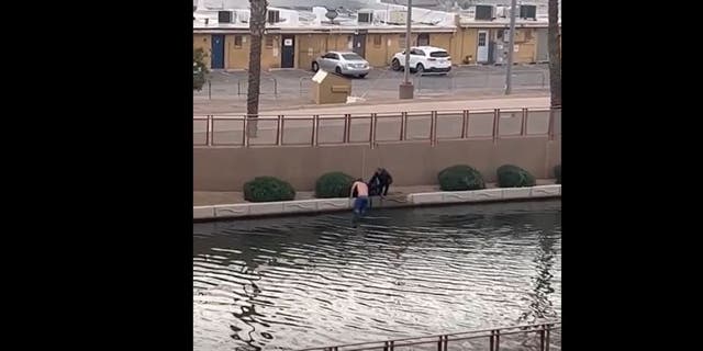 A man was saved by a passerby after falling into an Arizona canal with his dog.