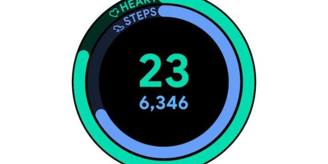 Google's steps counter.