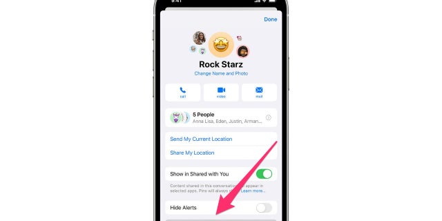 Tap this button to leave the group chat.