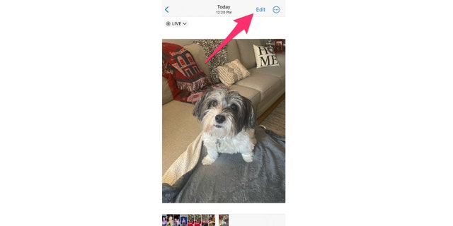 Inilah cara mengubah Foto Utama di iPhone Anda.