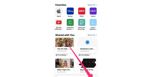 Here's how to search on Safari without having it record your history.