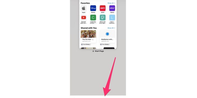 Here's how to put the Safari app in private mode.