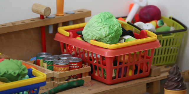 Vegan related toys, belonging to parent Emily Sim and her infant son Henry (NOT in picture), at their home, Pokfulam Road in Hong Kong on August 09, 2017. (Photo by Nora Tam/South China Morning Post via Getty Images)