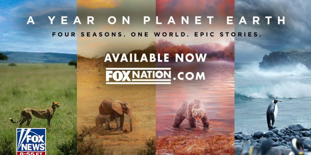 A Year on Planet Earth is now available to stream on Fox Nation