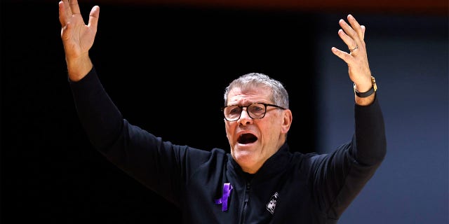 El entrenador en jefe de UConn, Geno Auriemma, reacciona a una jugada durante la primera mitad de un partido de baloncesto universitario de la NCAA contra Tennessee, el jueves 26 de enero de 2023, en Knoxville, Tennessee.