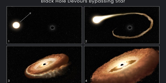 Cette séquence d'illustrations d'artistes montre comment un trou noir peut dévorer une étoile qui passe.  1. Une étoile ordinaire passe près d'un trou noir supermassif au centre de la galaxie.  2. Les gaz extérieurs de l'étoile sont attirés dans le champ gravitationnel du trou noir.  3. Une étoile se déchire lorsque les forces de marée l'éloignent.  4. Le reste stellaire est tiré dans un anneau circulaire autour du trou noir et finira par retomber dans le trou noir, émettant une quantité massive de lumière et de rayonnement à haute énergie.