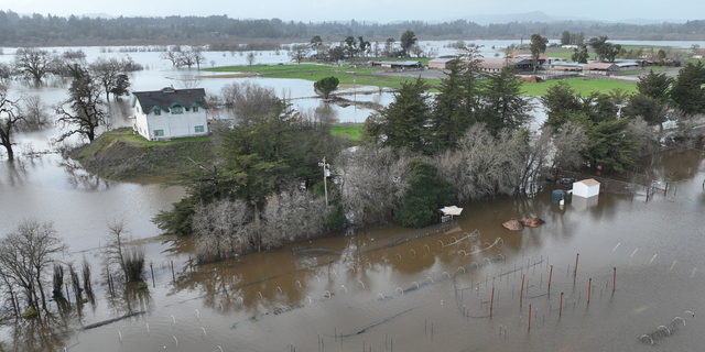 California boy, 5, swept away in floodwaters as mother is pulled from ...