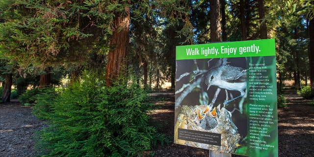 A sign informs visitors to stay on the trails and be considerate of wildlife living in and around the three-acre grove of coastal redwoods, the largest grove of these trees in Southern California, in Carbon Canyon Regional Park.