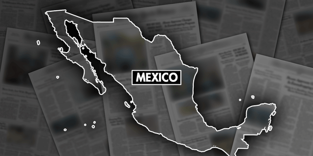 Grafika Mexico Fox Newsa