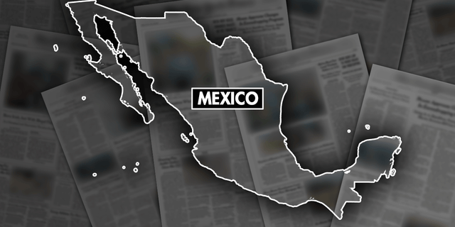 Grafika Mexico Fox Newsa