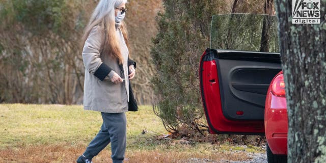 Ana Walshe's mother-in-law reportedly spotted outside missing mom's Massachusetts home 1 A woman who appears to be Diana Walshe walking in gray coat.