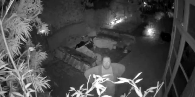 An image from a surveillance video showing David De Pape looking at a security camera in the backyard of the Pelosi home before the alleged assault on Paul Pelosi in San Francisco on October 28, 2022.