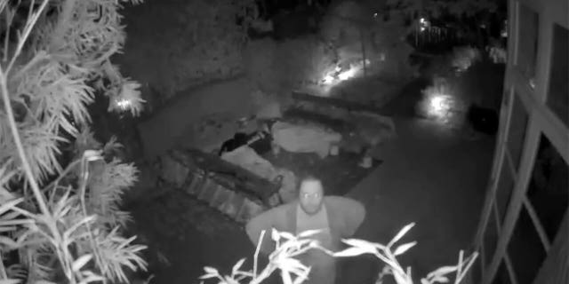 Screen grab from a surveillance video showing David De Pape looking at a security camera in the backyard of the Pelosi home before the alleged assault on Paul Pelosi in San Francisco on October 28, 2022.