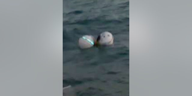 The buoys marking the reef where Dylan Gartenmayer clung for life before being rescued by his family.