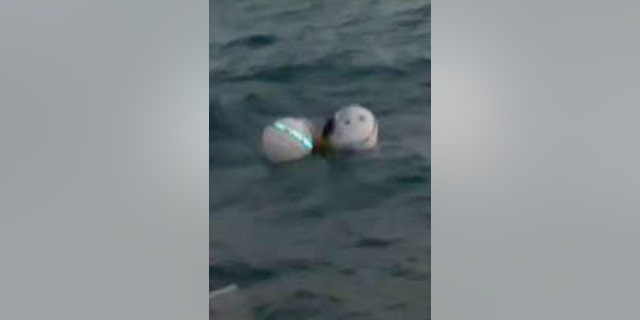 The buoys marking the reef where Dylan Gartenmayer clung for life before being rescued by his family. 