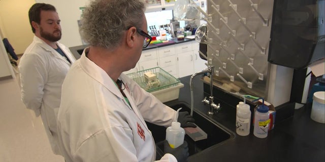 Dr. Colin Haile (center, wearing glasses) is seen here cleaning a sample at his lab at the University of Houston. He believes that the fentanyl vaccine his team has developed can help those in addiction recovery.