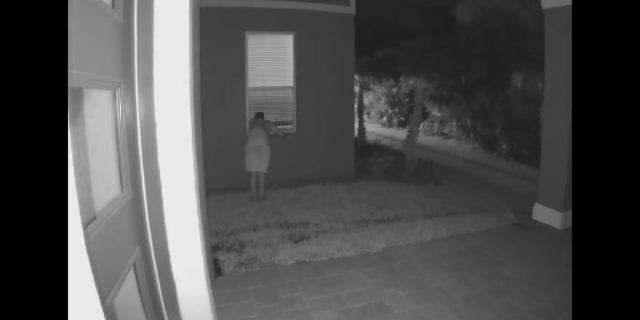 Florida deputies arrested a man seen on video looking through a woman's window Thursday night.