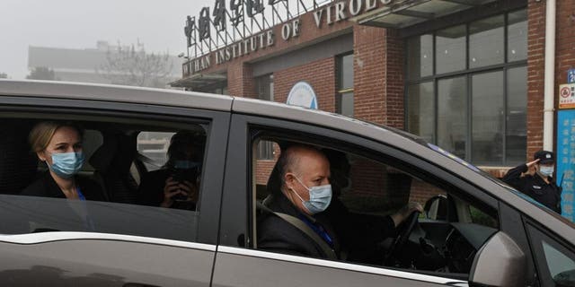 Peter Daszak (right), Thea Fisher (left) and other members of the World Health Organization team investigating the origins of the COVID-19 coronavirus arrive at the Wuhan Institute of Virology in Wuhan in central China's Hubei province February 3, 2021.