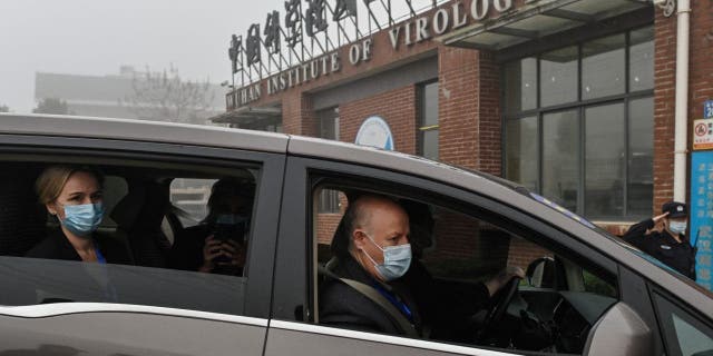 Peter Daszak (R), Thea Fischer (L) and other members of the World Health Organization (WHO) team investigating the origins of the COVID-19 coronavirus, arrive at the Wuhan Institute of Virology in Wuhan in China's central Hubei province on February 3, 2021.