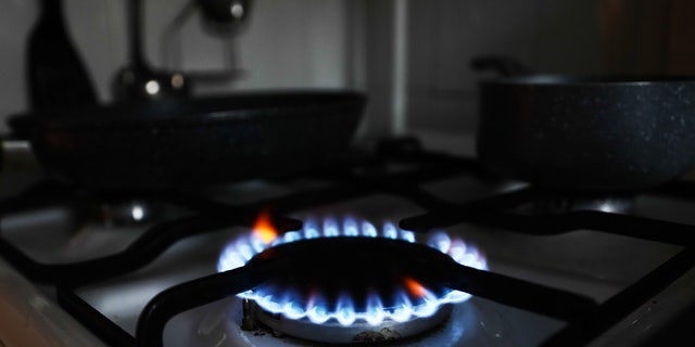 A natural gas-powered stove is pictured.
