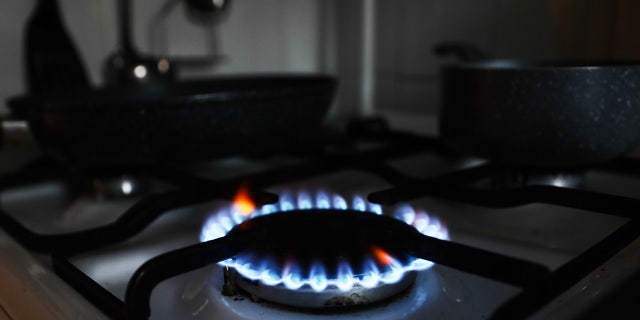 Gas stove/burner