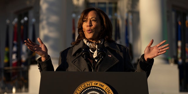 Vice President Kamala Harris speaks on the South Lawn of the White House December 13, 2022 in Washington, DC. 