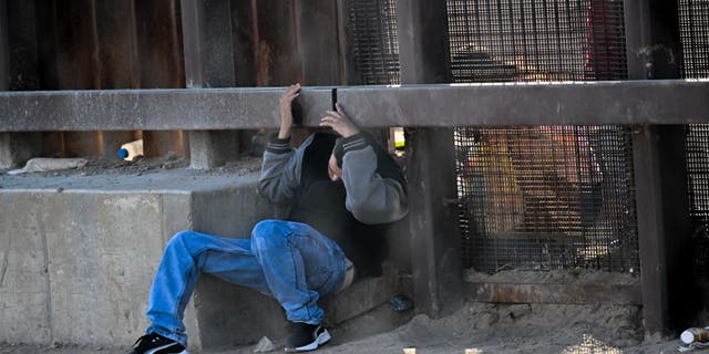illegal immigrant