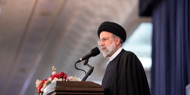 Iranian President Ebrahim Raisi in March ordered authorities to investigate some of the poisonings, which occurred at girls' schools, describing them as "noxious fumes" that made the girls sick.