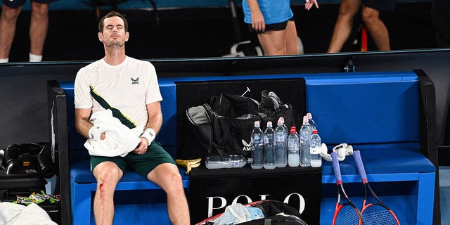 Andy Murray merayakan setelah memenangkan pertandingan putaran pertama melawan Matteo Berrettini di Australia Terbuka di Melbourne pada 17 Januari 2023.