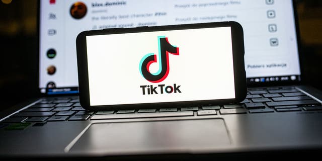 In deze foto-illustratie een TikTok-logo weergegeven op een smartphone. 