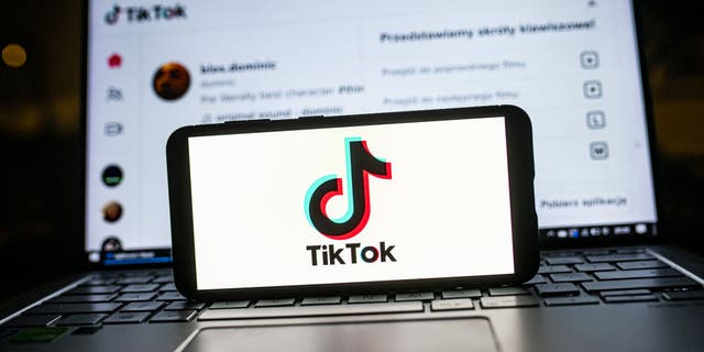 In deze foto-illustratie een TikTok-logo weergegeven op een smartphone. 