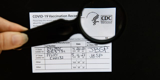 A photo of a hand using a magnifying glass to check the authenticity of s Covid-19 vaccine card, taken on August 15, 2021. 