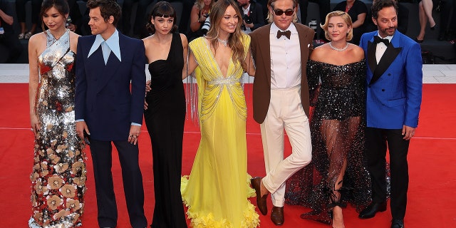 Olivia Wilde and Harry Styles first met when they cast him as the male lead in her movie