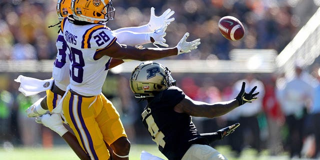 Deion Burks, #4 of the Purdue Boilermakers, misses a pass during the Cheez-It Citrus Bowl against the LSU Tigers at Camping World Stadium on Jan. 2, 2023 in Orlando, Florida. 