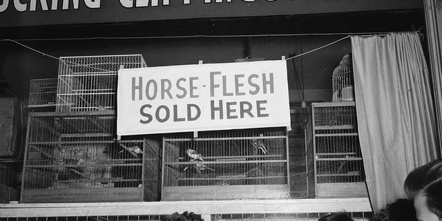 Horse flesh was sold during World War II when rationing made other foods scarce. A sign hanging in a New York pet shop, circa 1943, reads, "Horse Flesh Sold Here."
