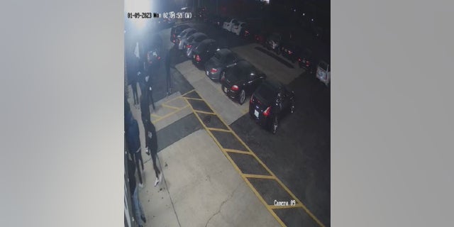 Security cameras caught a group of suspected thieves stealing several luxury vehicles from a Chicago area dealership.