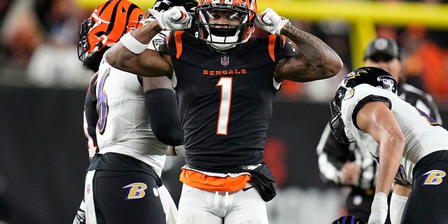 Cincinnati Bengals wide receiver Ja'Marr Chase celebrates a first down in the first half of an NFL wild-card playoff football game against the Baltimore Ravens in Cincinnati, Sunday, Jan. 15, 2023.