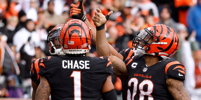 Joe Mixon #28 of the Cincinnati Bengals celebrates his touchdown by doing a coin toss in the end zone during the first quarter against the Baltimore Ravens at Paycor Stadium on January 08, 2023 in Cincinnati, Ohio.