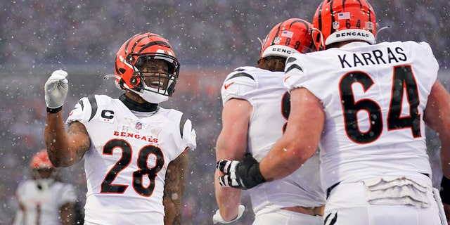 Cincinnati Bengals running back Joe Mixon (28) celebrates with teammates after a touchdown by tight end Hayden Hurst against the Buffalo Bills during the first quarter of a division round playoff game, Sunday, Jan. 22, 2023, in Orchard Park, New York.
