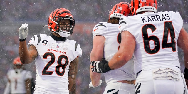 Cincinnati Bengals running back Joe Mixon (28) celebrates with teammates after a touchdown by tight end Hayden Hurst against the Buffalo Bills during the first quarter of a division round playoff game, Sunday, Jan. 22, 2023, in Orchard Park, New York.