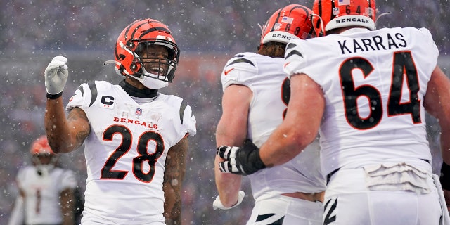 Los compañeros de equipo de los Cincinnati Bengals celebran después de un touchdown del ala cerrada Hayden Hurst contra los Buffalo Bills, el domingo 22 de enero de 2023, en Orchard Park, Nueva York.