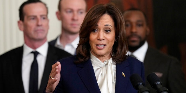 Border Patrol Union Rips Kamala Harris’ Handling Of Border Crisis: 'You ...