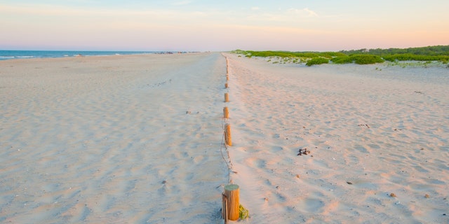 Sandy beach at the Assateague Island National Seashore, Maryland, U.S.