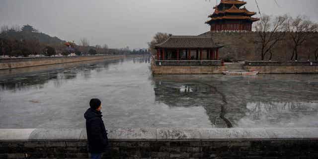 Beijing resident Zhang, 66, who lost multiple people close to him since early December as COVID-19 cases spiked in China, poses for a picture at the Forbidden City in Beijing, China, on Jan. 13, 2023.